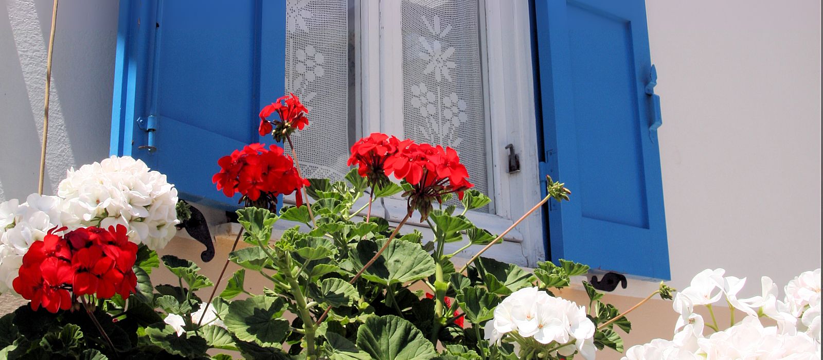 Villa Flora apt