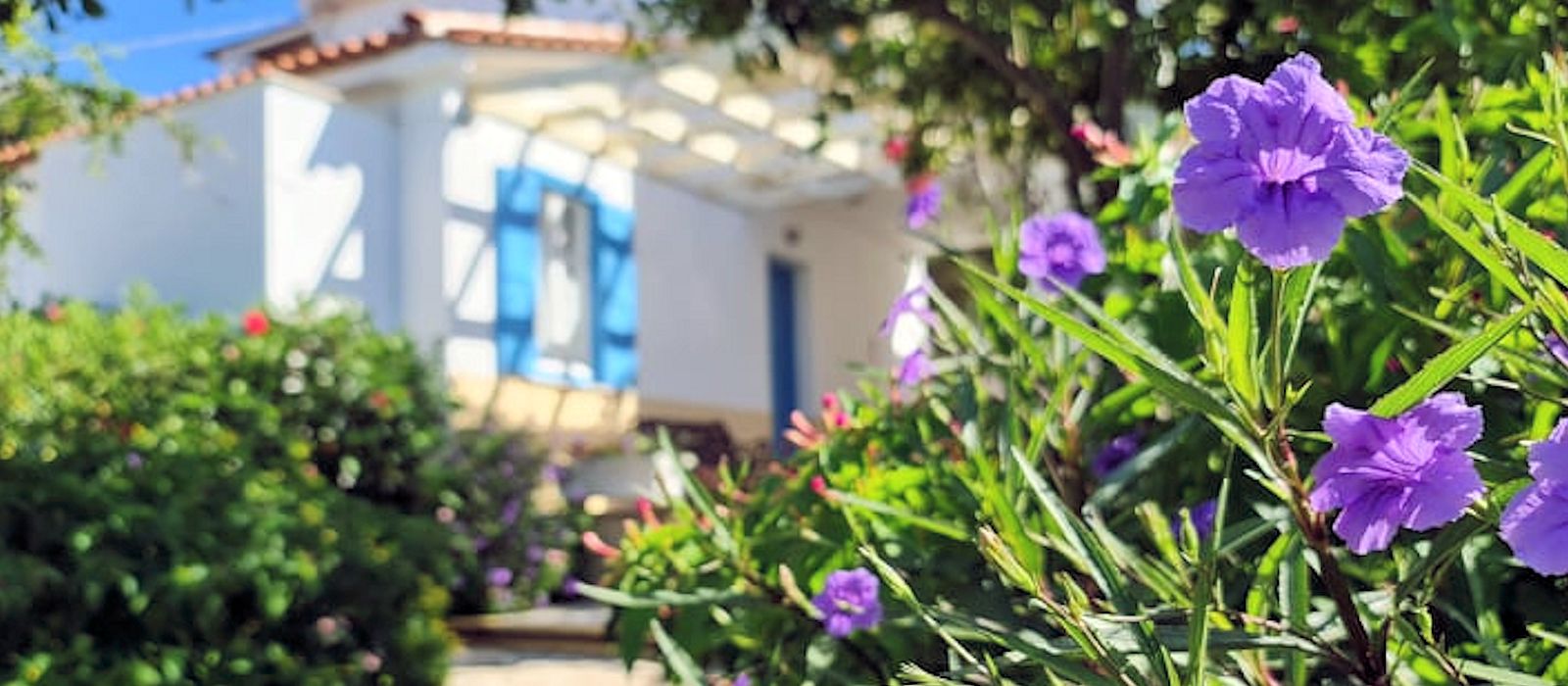 Villa Flora apt